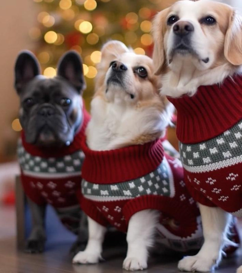 Warme Winter-Strickpullover für Hunde & Katzen (Weihnachts-Design: Rentier, Schneeflocke)