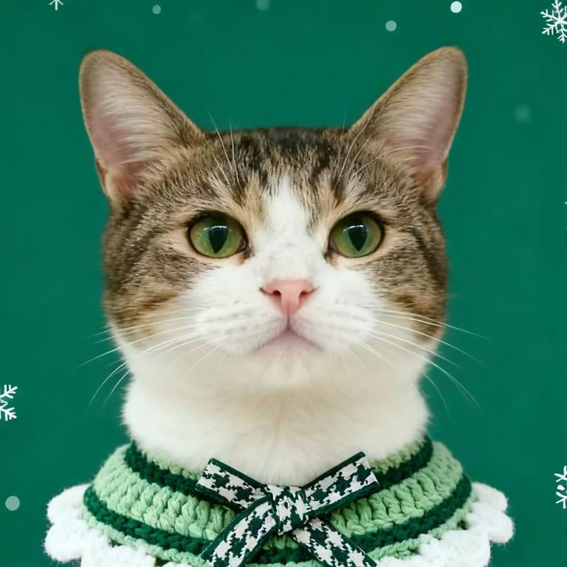 Niedlicher Blumen-Strickschal für Haustiere: Häkel-Kragen aus Wolle für Katzen, Hunde & Kaninchen